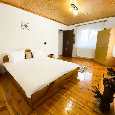 Holiday home Casa De Sub Hora Zarnesti